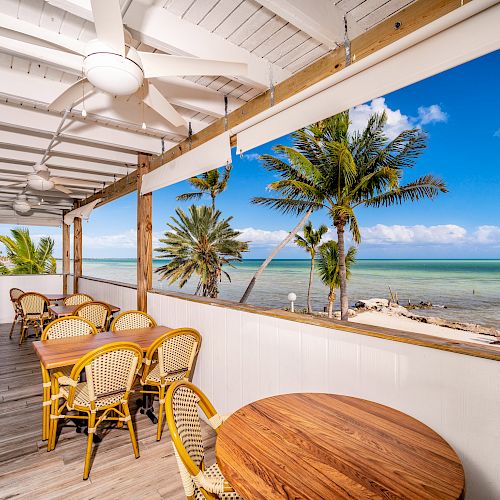 A tropical beachfront patio with tables and chairs under a wooden roof, overlooking palm trees and the ocean on a clear, sunny day.