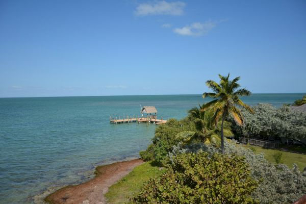 A serene coastal scene with a wooden pier extending into the turquoise sea, surrounded by lush green trees and palm trees.