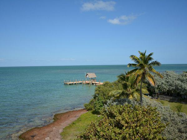A serene coastal scene with a wooden pier extending into the turquoise sea, surrounded by lush green trees and palm trees.