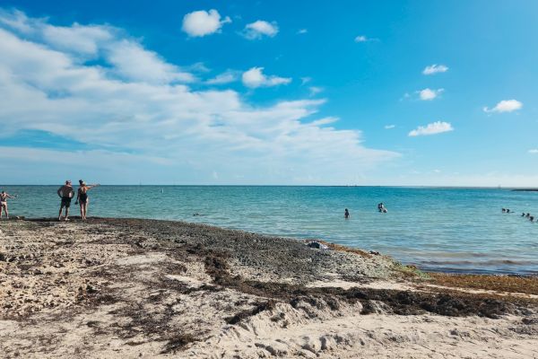 People enjoying a beach with clear blue skies and calm waters, some standing on the rocky shore and others swimming in the sea.