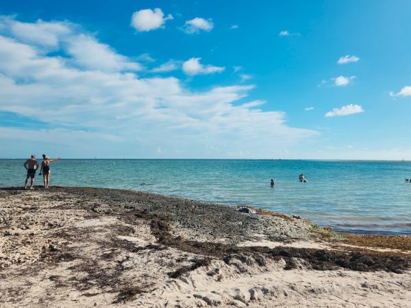 People enjoying a beach with clear blue skies and calm waters, some standing on the rocky shore and others swimming in the sea.
