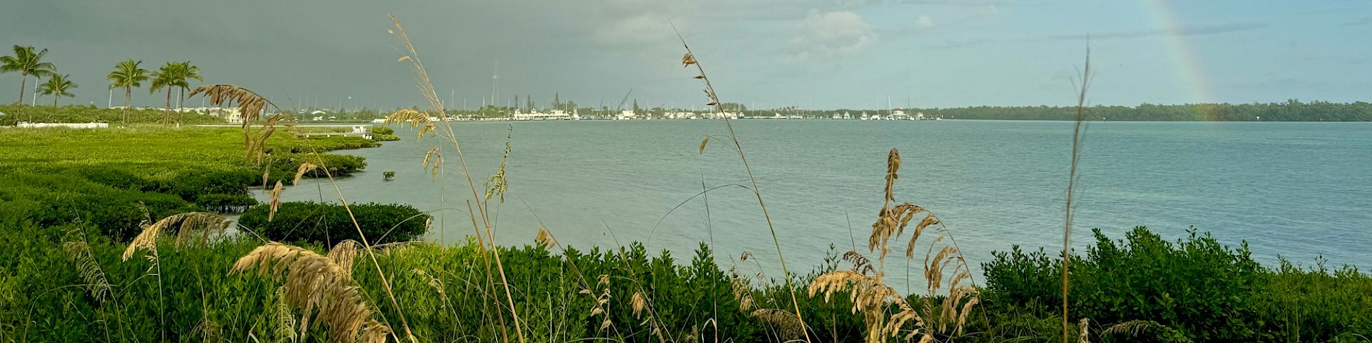 A scenic landscape with a prominent rainbow arching over a body of water, with greenery and cloudy skies in the background.