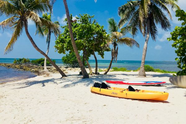 A tropical beach scene with palm trees, kayaks on the sand, and a view of the ocean under a clear blue sky.