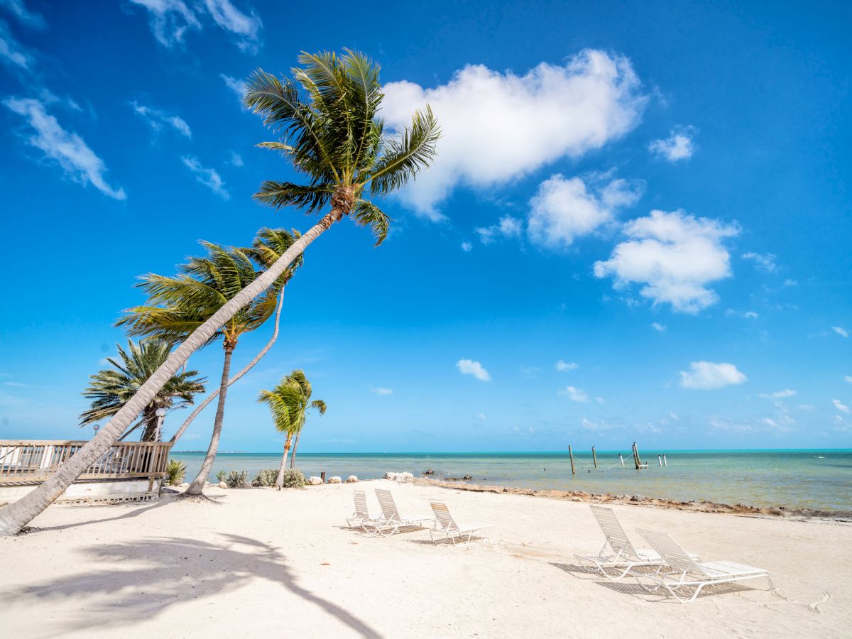 A sunny tropical beach with tall palm trees, wooden deck, lounge chairs, and calm turquoise water under a blue sky with clouds.